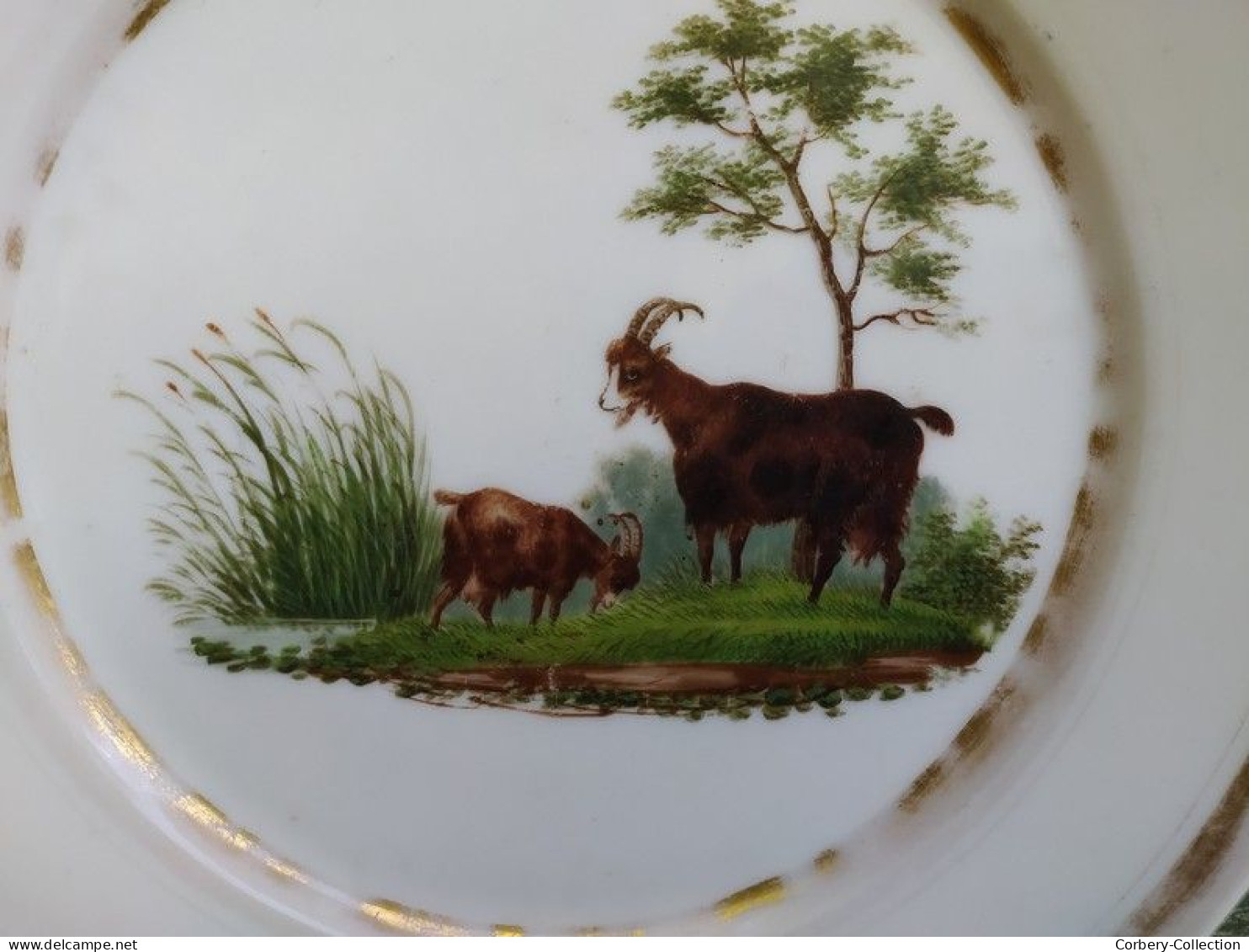 Ancienne Assiette Porcelaine De Paris XIXème Décor Chèvre Avec Son Petit. - Otros & Sin Clasificación