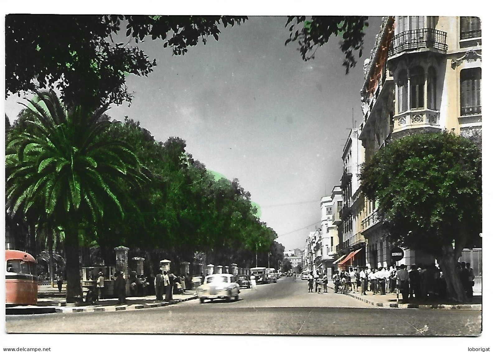 CALLE DEL GENERAL MARINA / OF THE GENERAL MARINA STREET.-  MELILLA.- ( ESPAÑA ) - Melilla