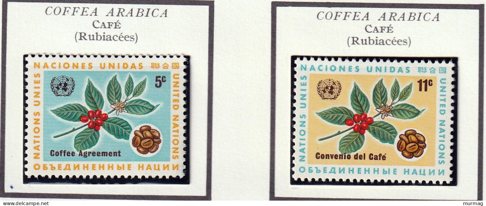 NATIONS UNIES - Café - Y&T N° 153-154 - 1965-1966 - MNH - Ungebraucht