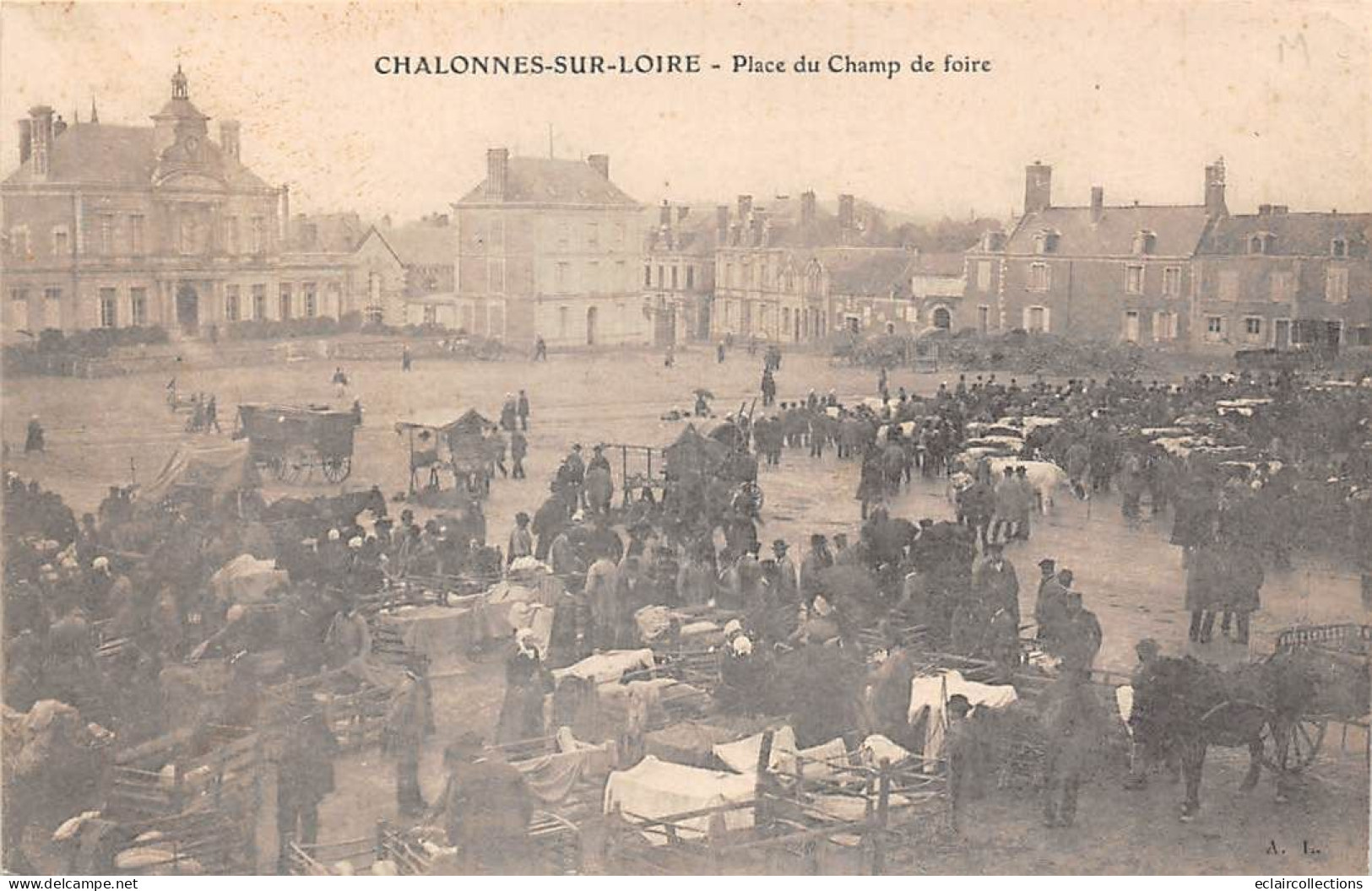 Chalonnes Sur Loire           49        Place Du Champ De Foire. Marché Aux Bestiaux                 (voir Scan) - Chalonnes Sur Loire