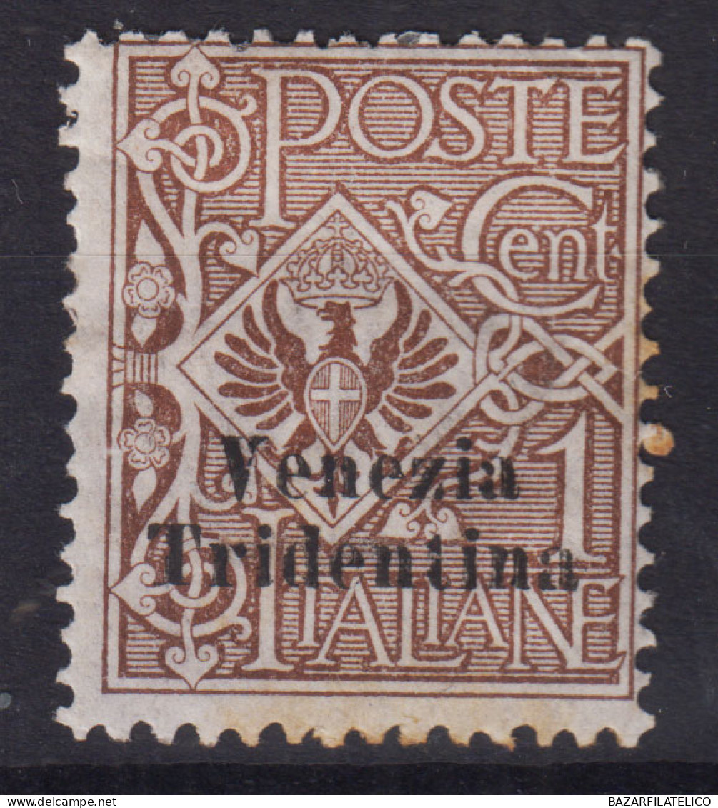 OCCUPAZIONI TRENTINO ALTO ADIGE 1918 VENEZIA TRIDENTINA 1 CENT. N.19 G.O MH* - Trente