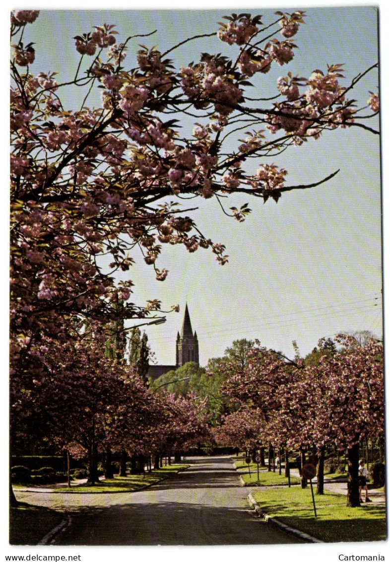 Boitsfort - Eglise St-Hubert - Watermaal-Bosvoorde - Watermael-Boitsfort