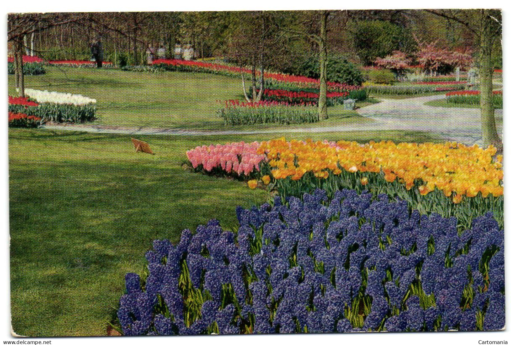 Keukenhof - Lisse-Holland - Lisse