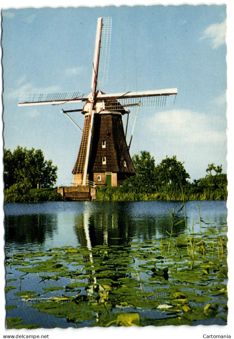 Leidschendam - Watermolen - Leidschendam