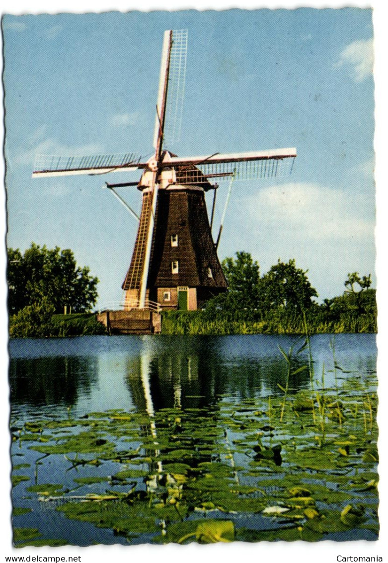 Leidschendam - Watermolen - Leidschendam