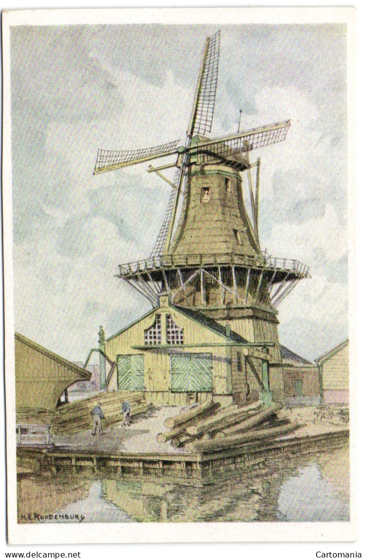 Houtzaagmolen Bij Leiden - Leiden