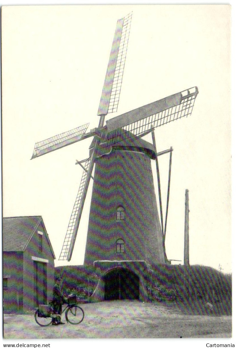 St.-Huibrechts-Lille - De Windmolen - Neerpelt