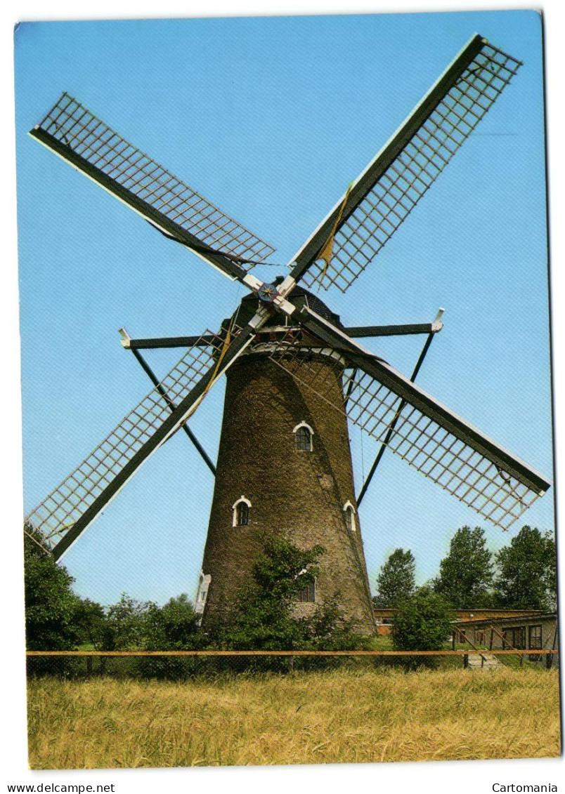 Nieuwvliet - Molen- Beltmolen Grondzeiler - Korenmolen - Sluis