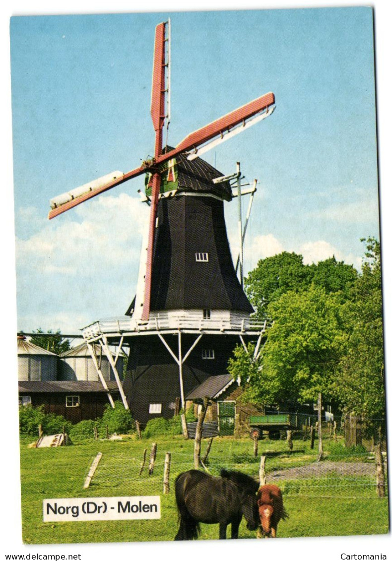 Norg (Dr) - Molen - Norg