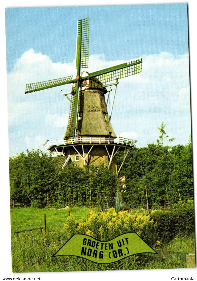 Groeten Uit Norg (Dr) - Molen - Norg