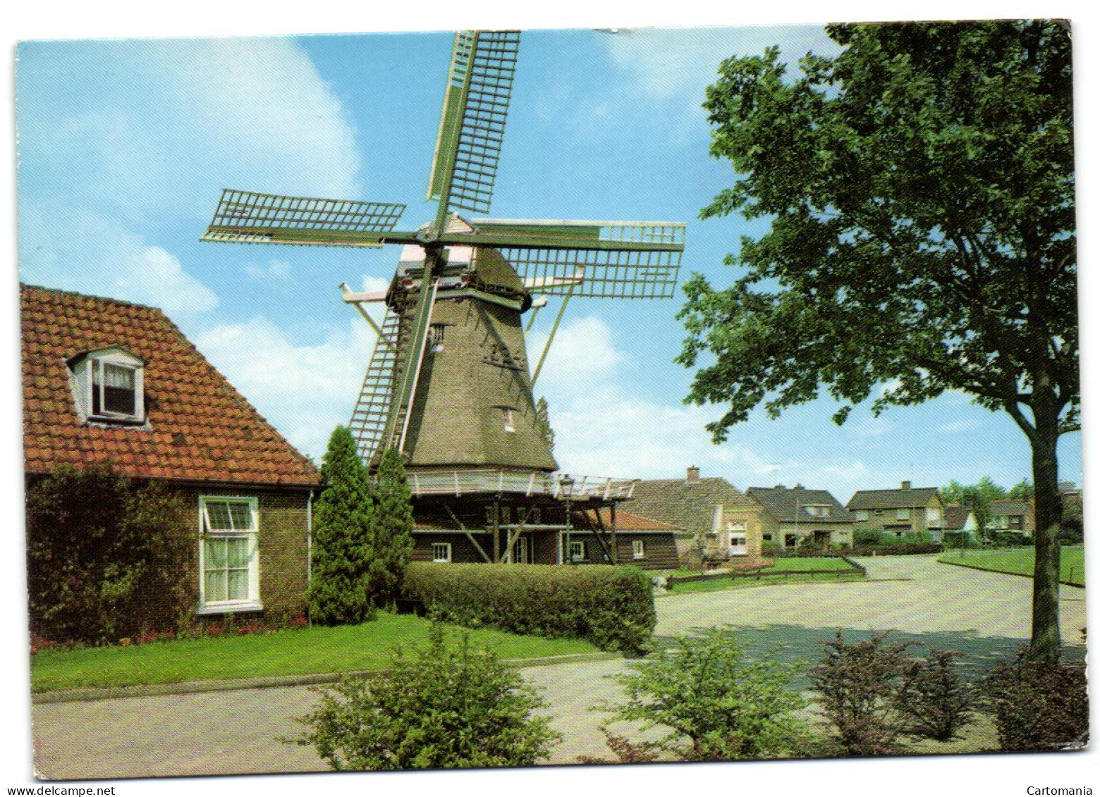 Groeten Uit Ommen (O.) - Molen Op Den Oordt - Ommen