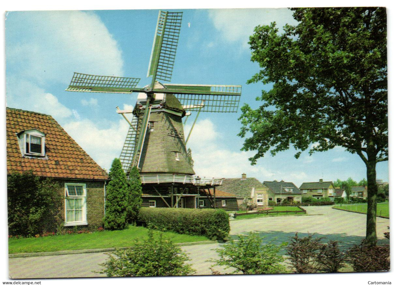 Groeten Uit Ommen (O.) - Molen Op Den Oordt - Ommen