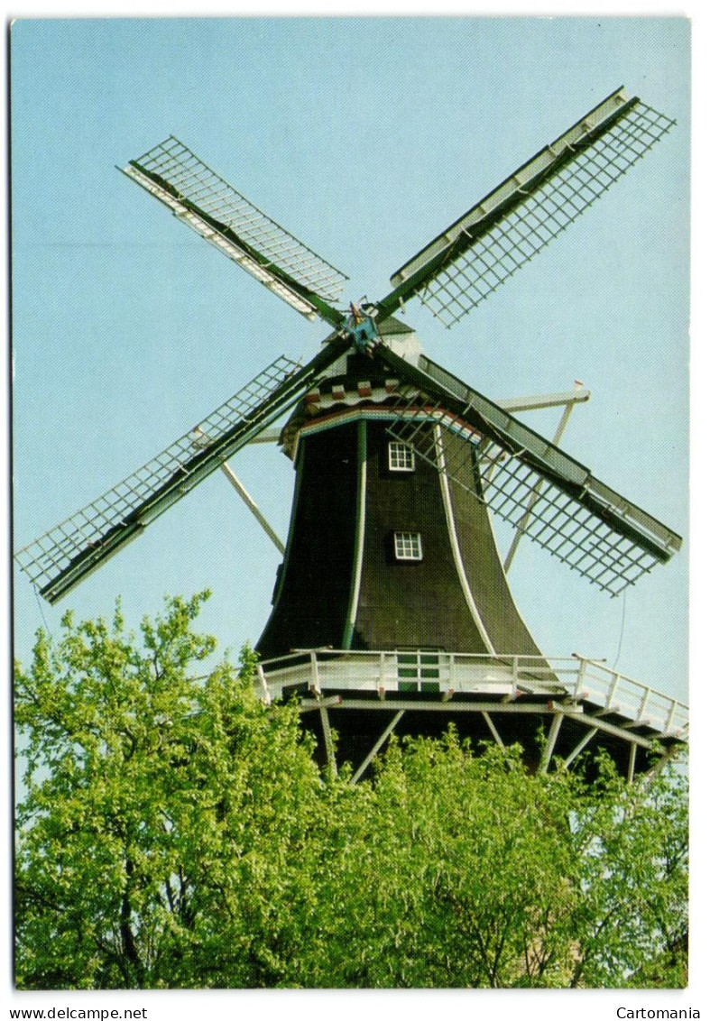 Winschoten - Molen Westerhuis - Winschoten