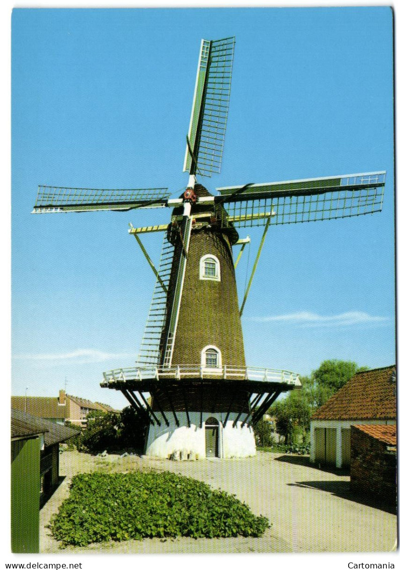 Westkapelle - Molen De Noorman - Korenmolen - Stellingmolen - Westkapelle