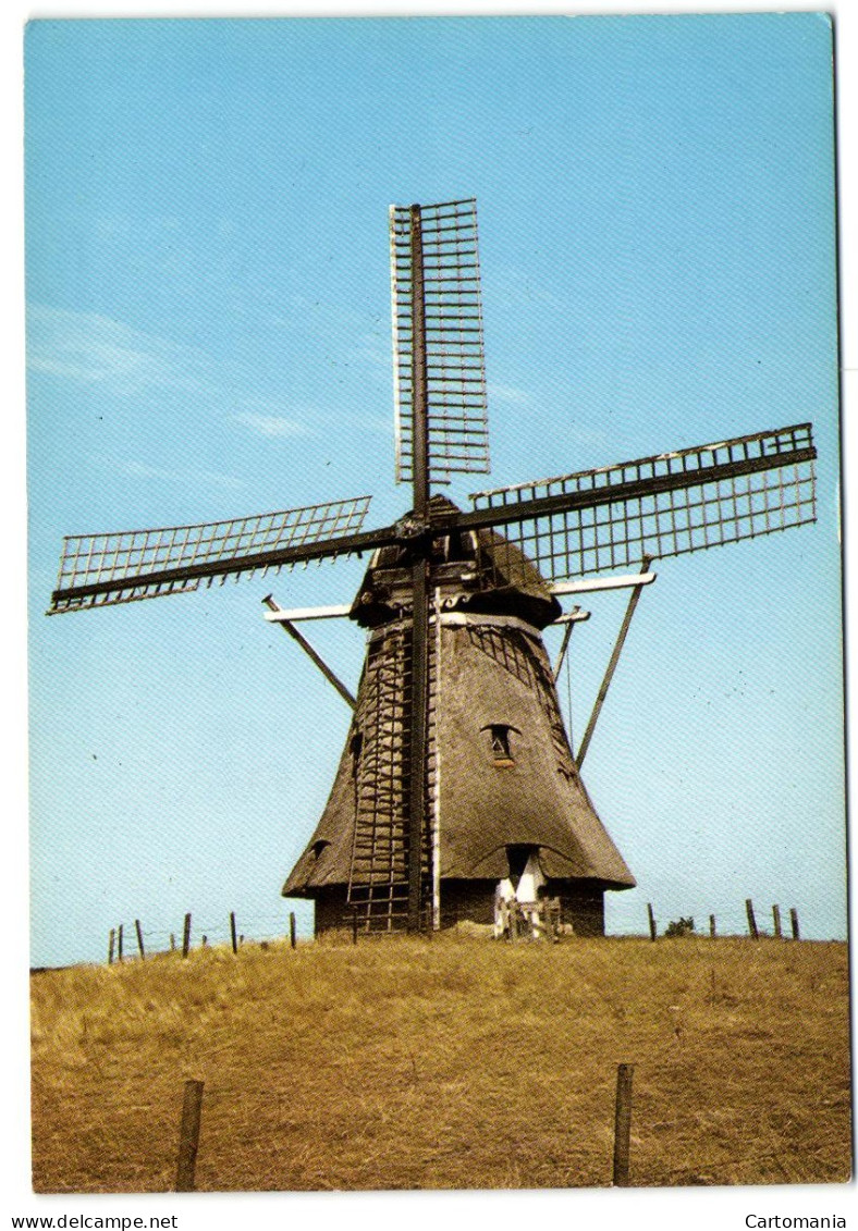 Ameland - Molen De Phoenix - Ameland