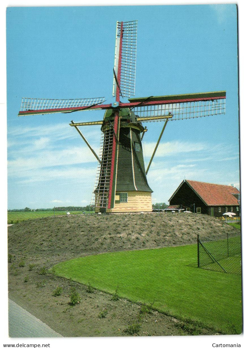 Serooskerke - Molen De Hoop - Korenmolen - Veere