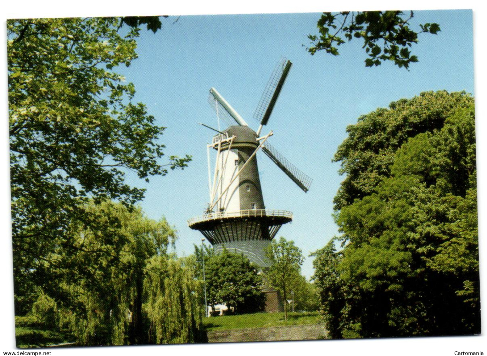 Schiedam - Molen De Drie Koornbloemen - Schiedam