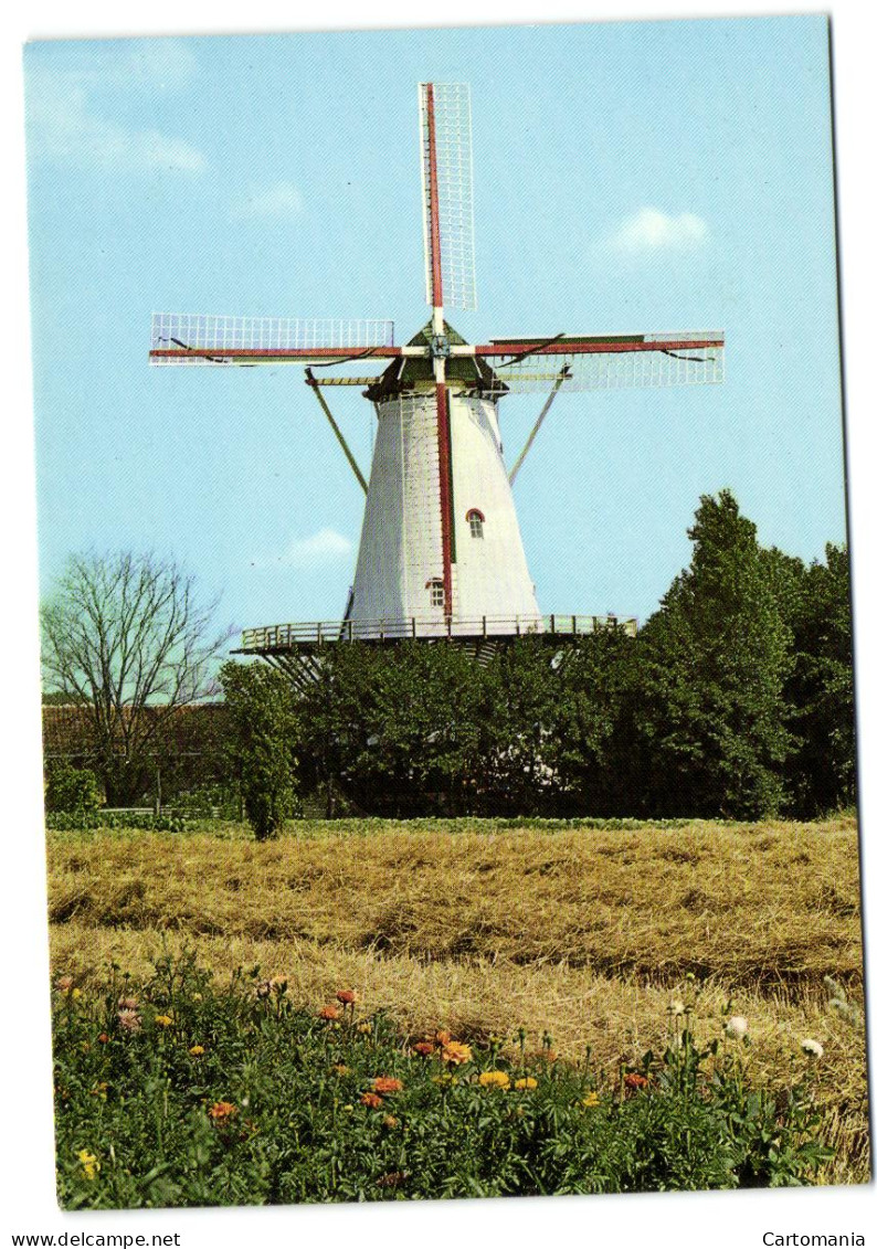 Oud Vossemeer - De Jager -Korenmolen - Tholen