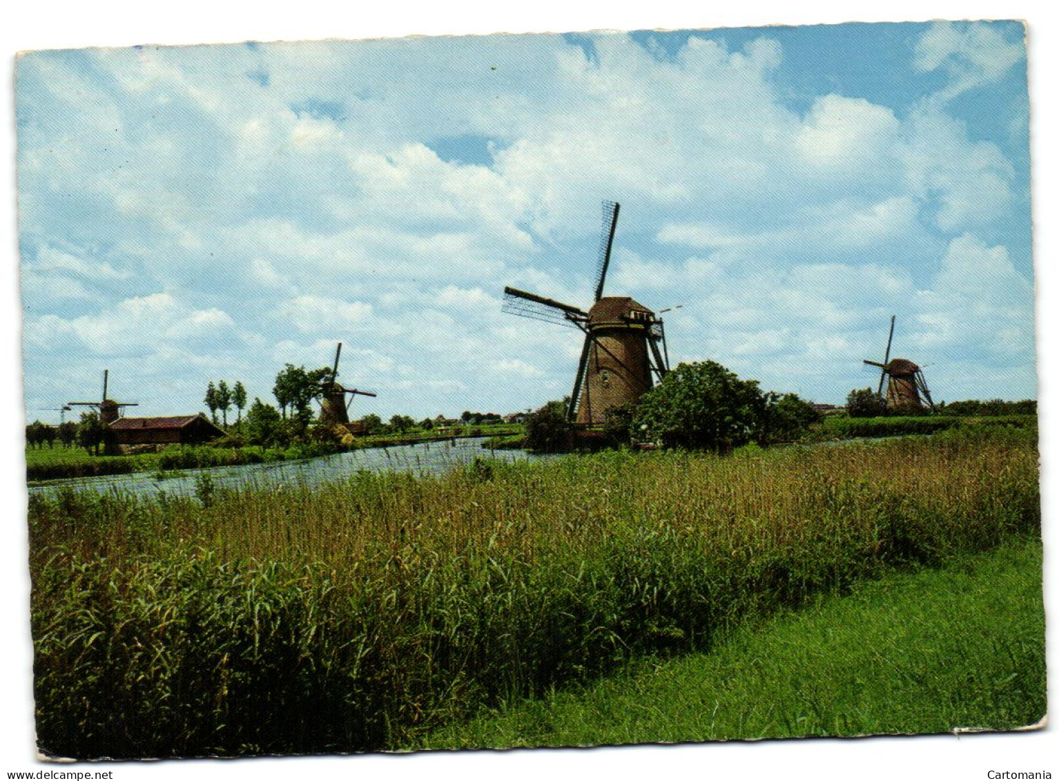 Hollandse Molen - Kinderdijk - Kinderdijk