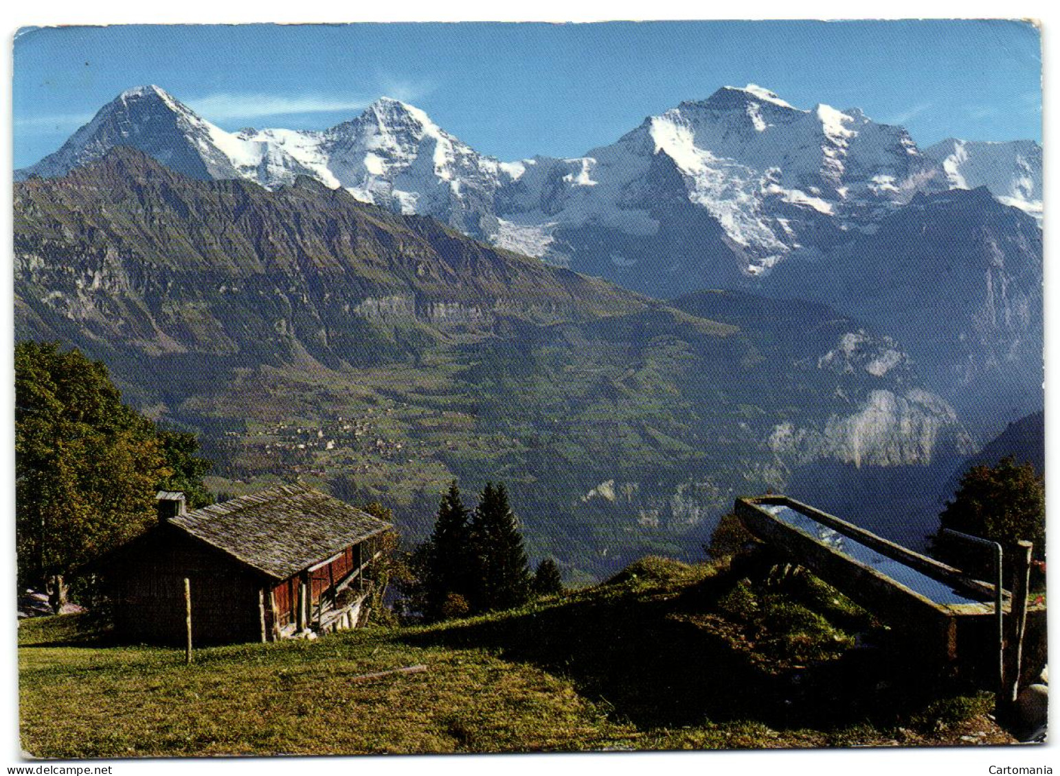 Isenfluh - Sulwald Mit Eiger Mönch Und Jungfrau - Wald