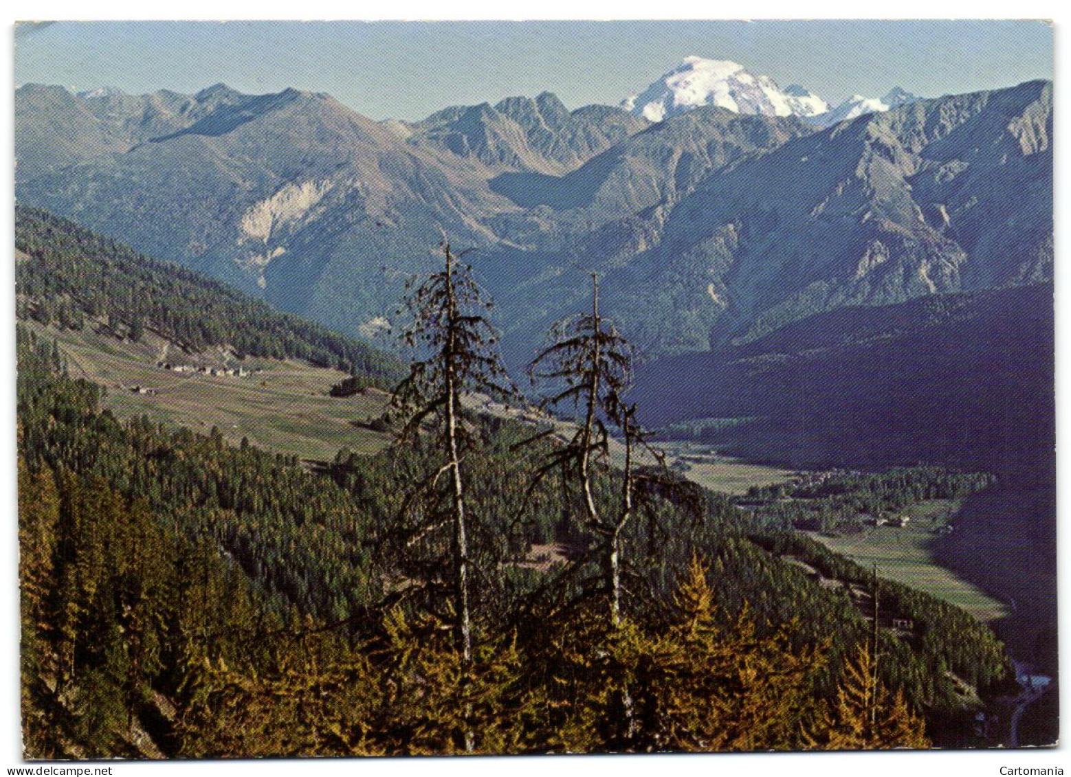 Beim Ofenpass - Blick Ins Münstertal Mit Lü - Fuldera Und Ortler - Fuldera