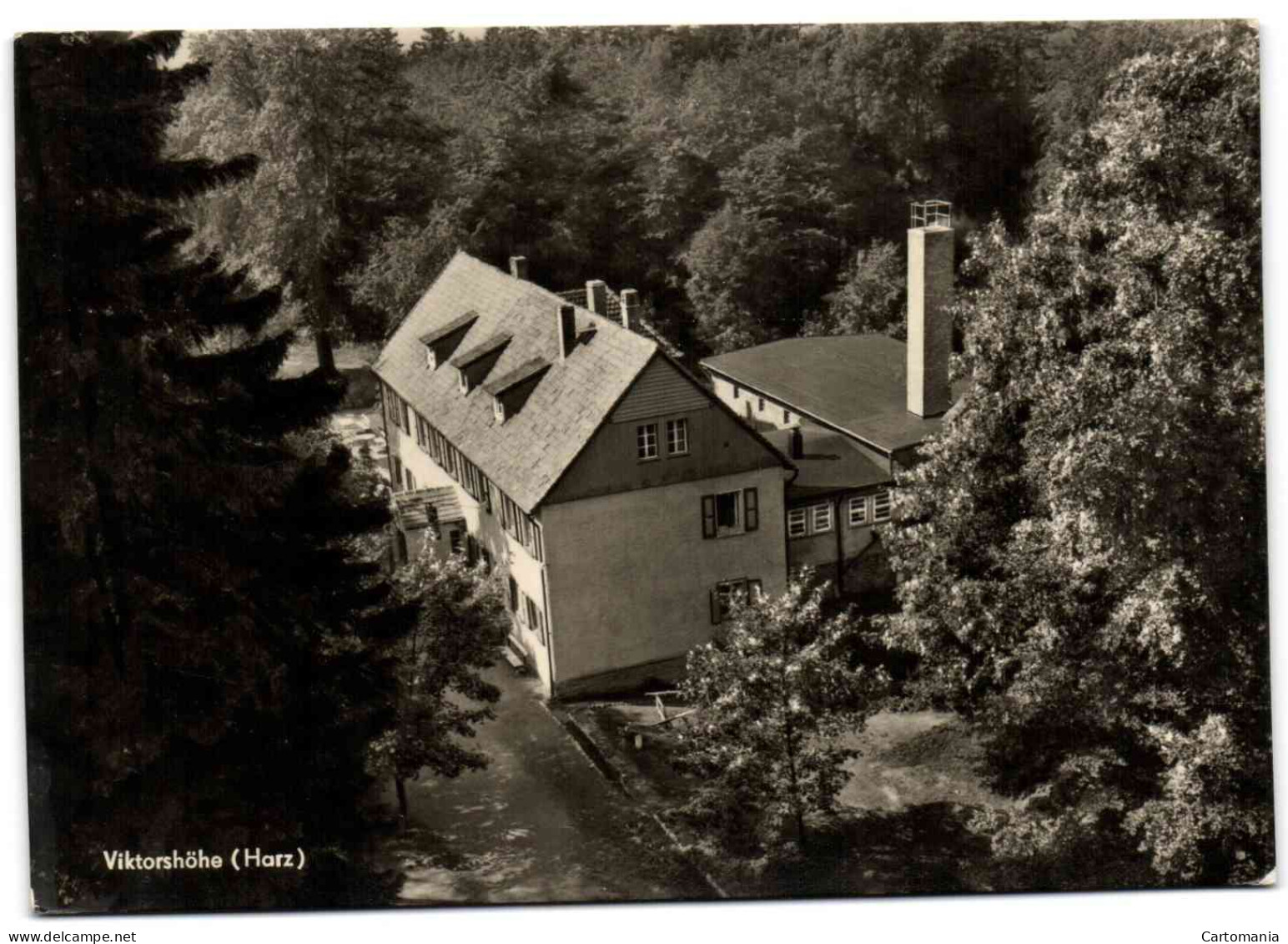 Viktorshöhe (Harz) Bei Friedrichsbrunn - Wanzleben