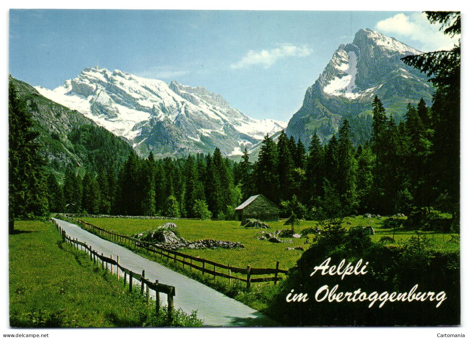 Unterwasser Obertoggenburg - Aelpli Mit Säntis Und Schafberg - Berg