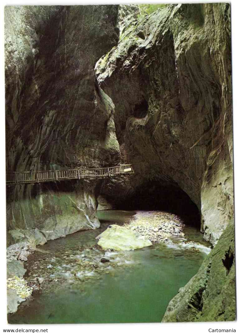 Gorges Du Trient à Vernayaz - Valais - Trient