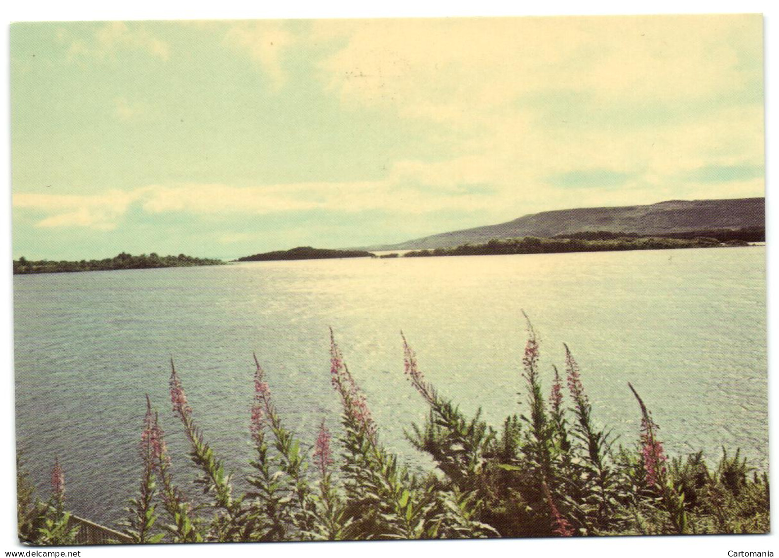 Lower Lough Erne Co. Fermanagh - Fermanagh