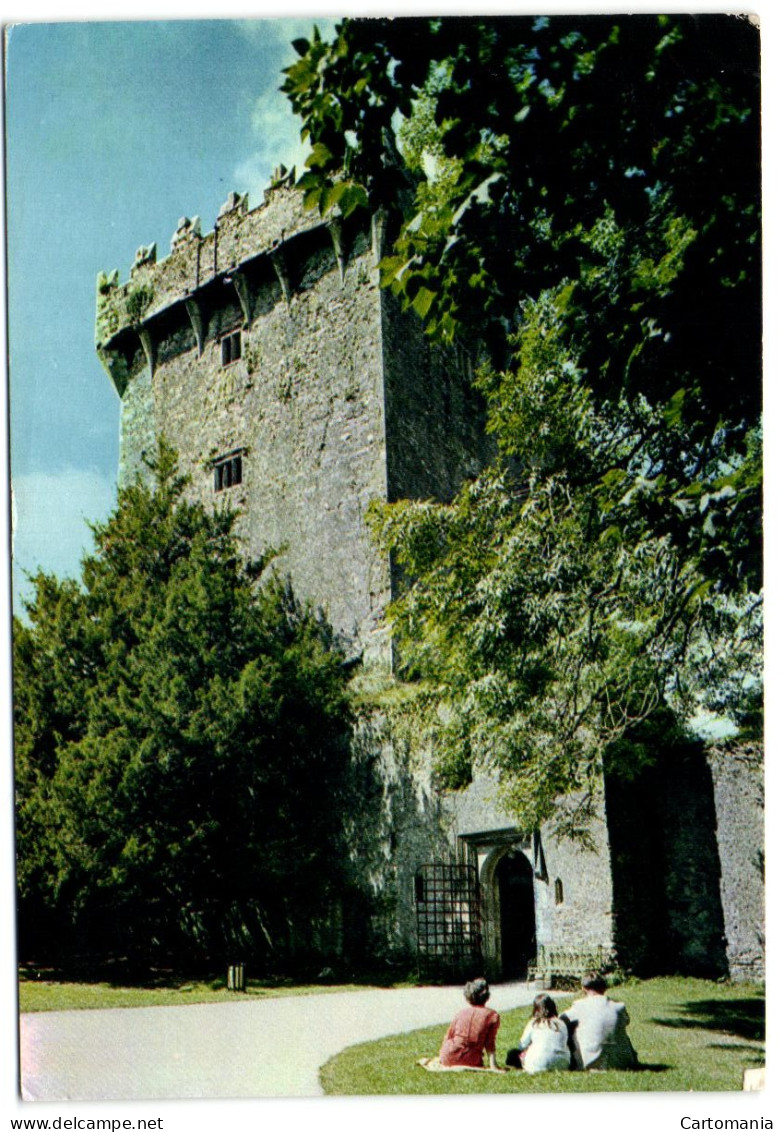 Blarney Castle - Co. Cork - Cork