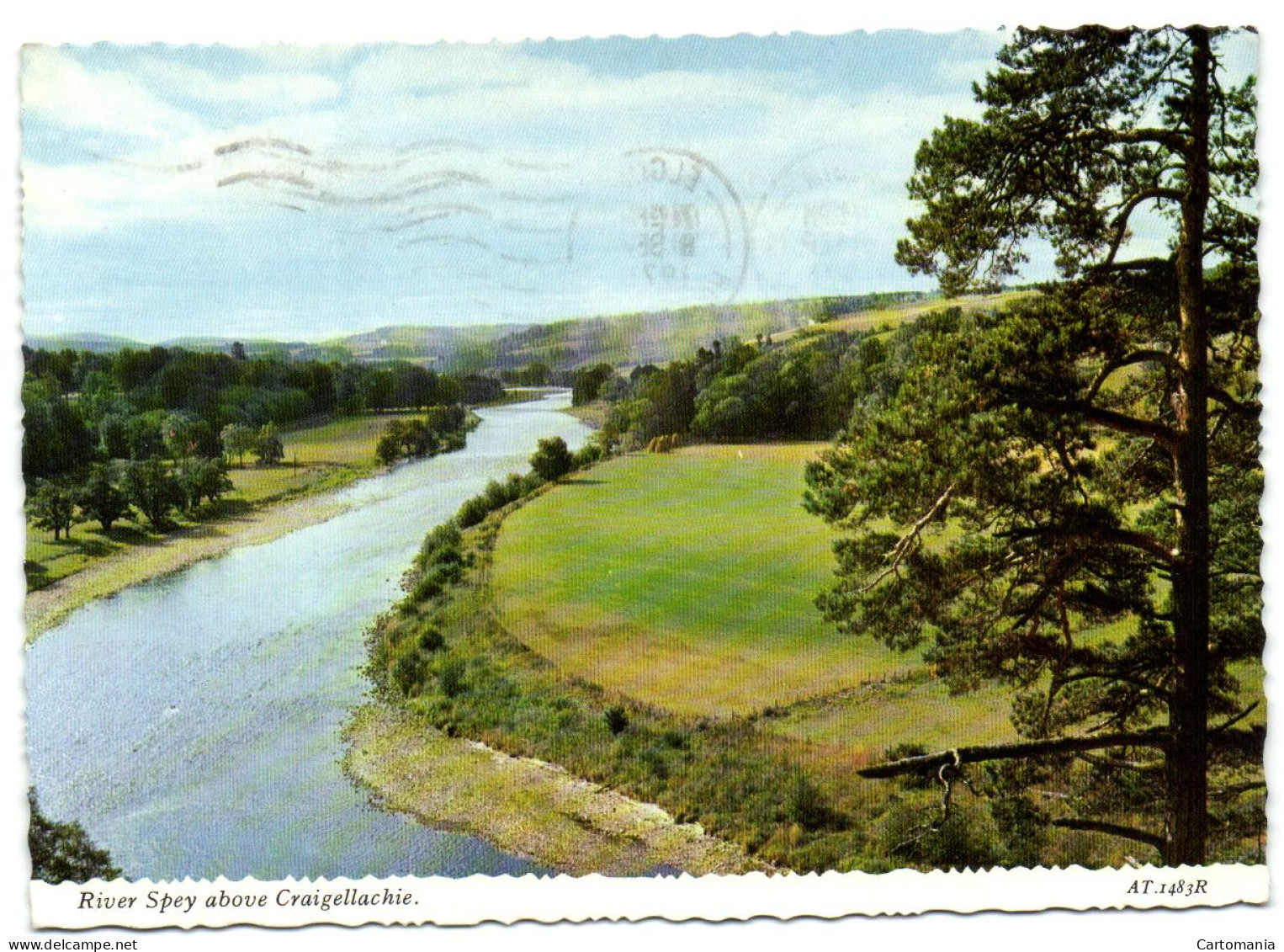 River Spey Above Craigellachie - Moray