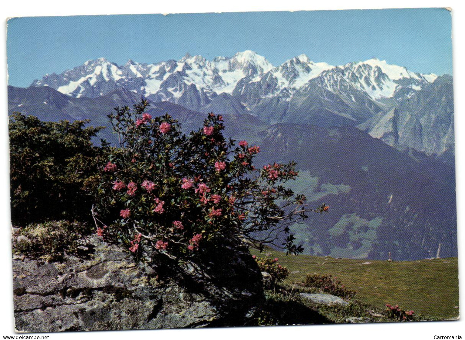 Verbier - Le Massif Du Trient Vu Depuis Les Ruinettes - Trient