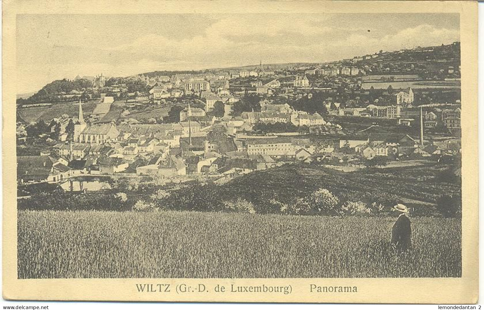 Wiltz - Panorama - Wiltz