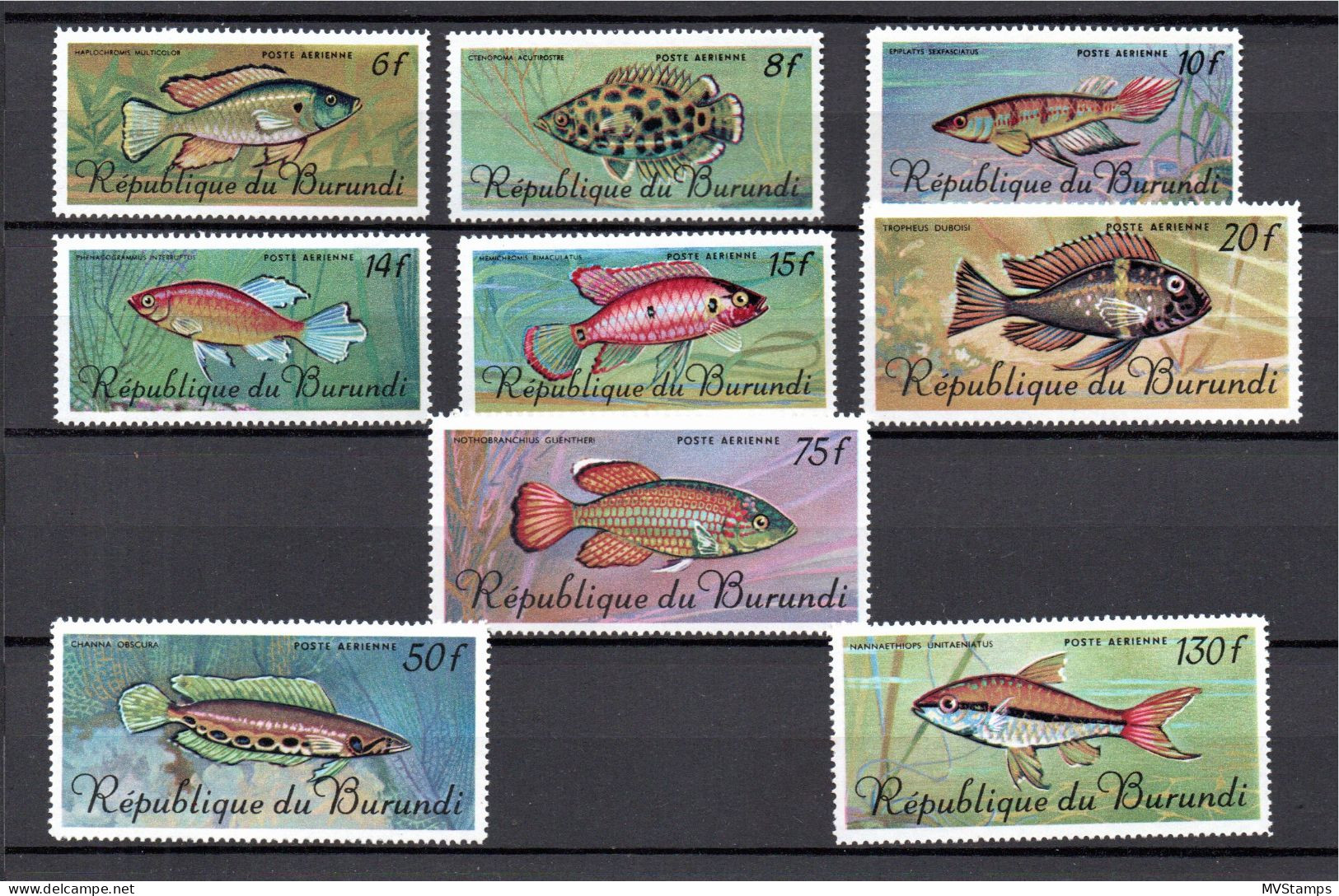 Burundi 1967 Set Fish/Fische/Sealife Stamps (Michel 359/67) Nice MNH - Neufs