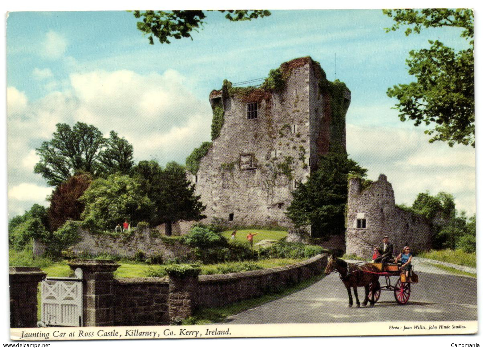 Jaunting Car At Ross Castle Killarney - Co. Kerry - Kerry