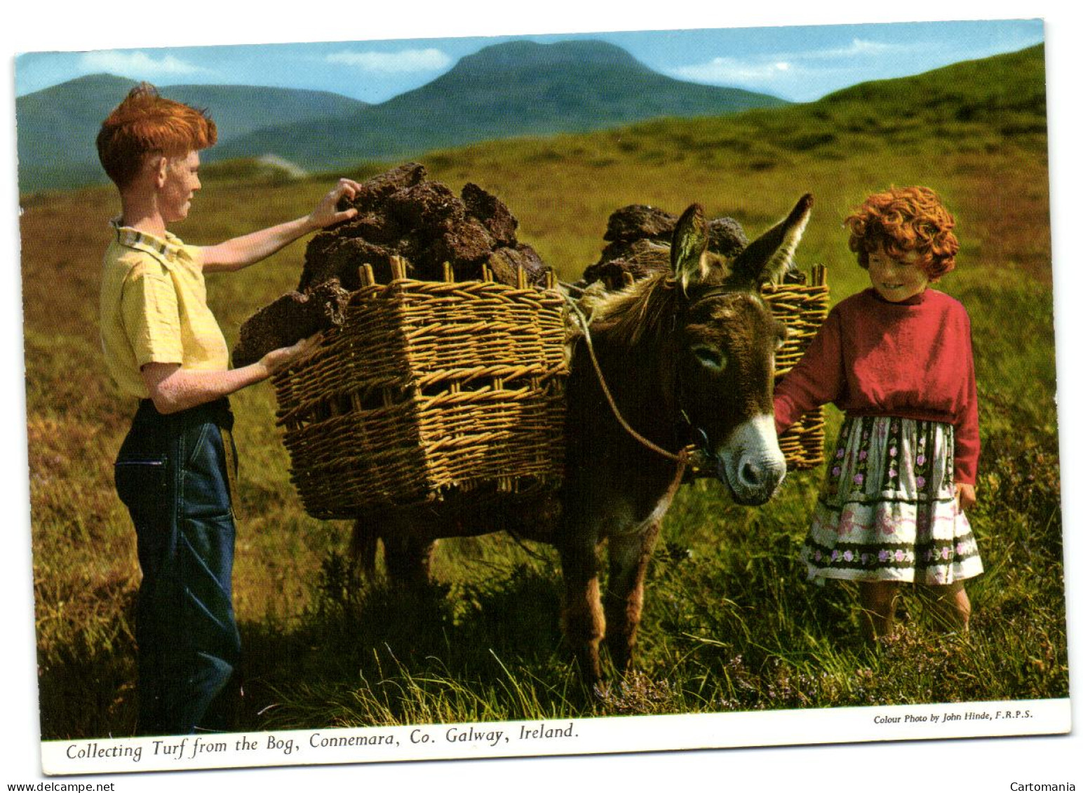 Collecting Turf From The Bog Connemara - Co. Galway - Galway