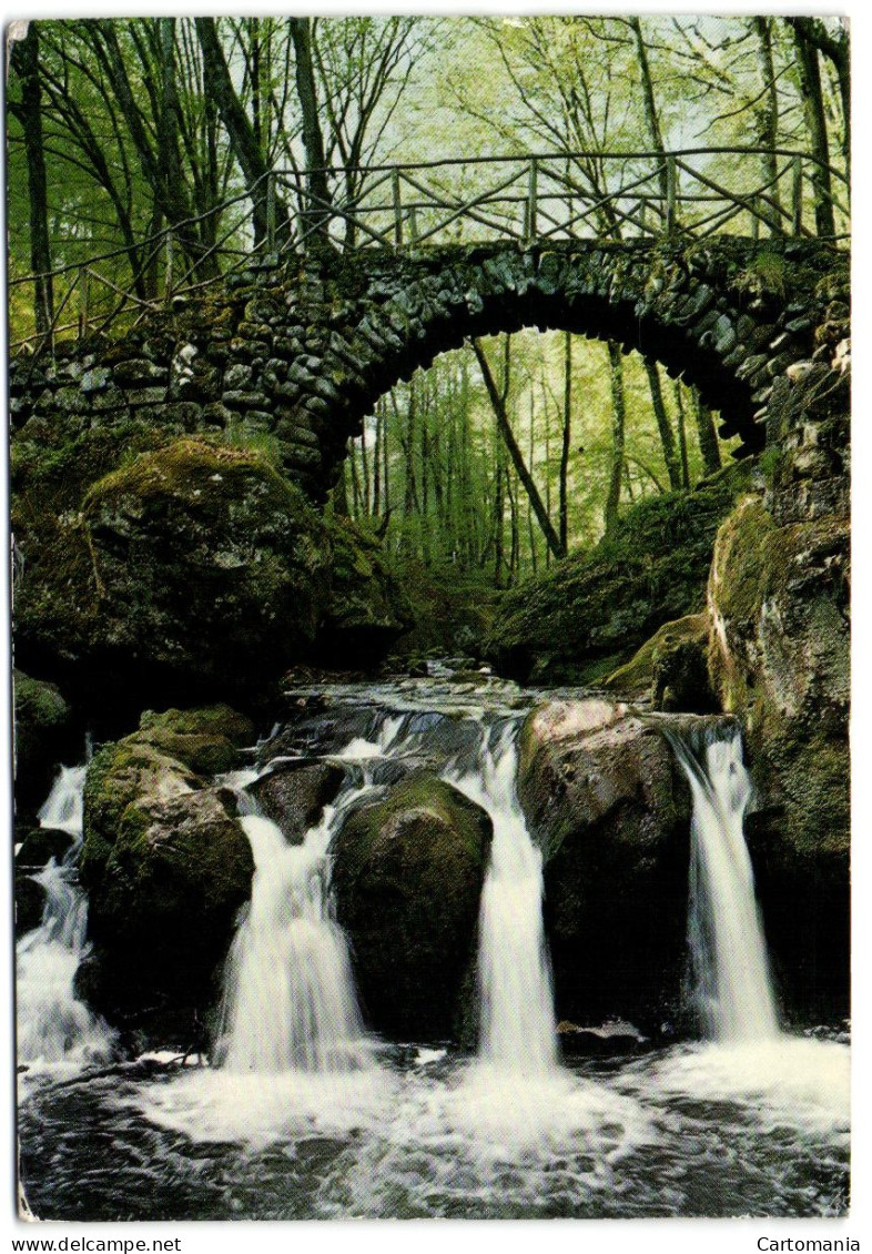 La Pittoresque Cascade Du Schiessentümple Au Müllerthal - Muellerthal