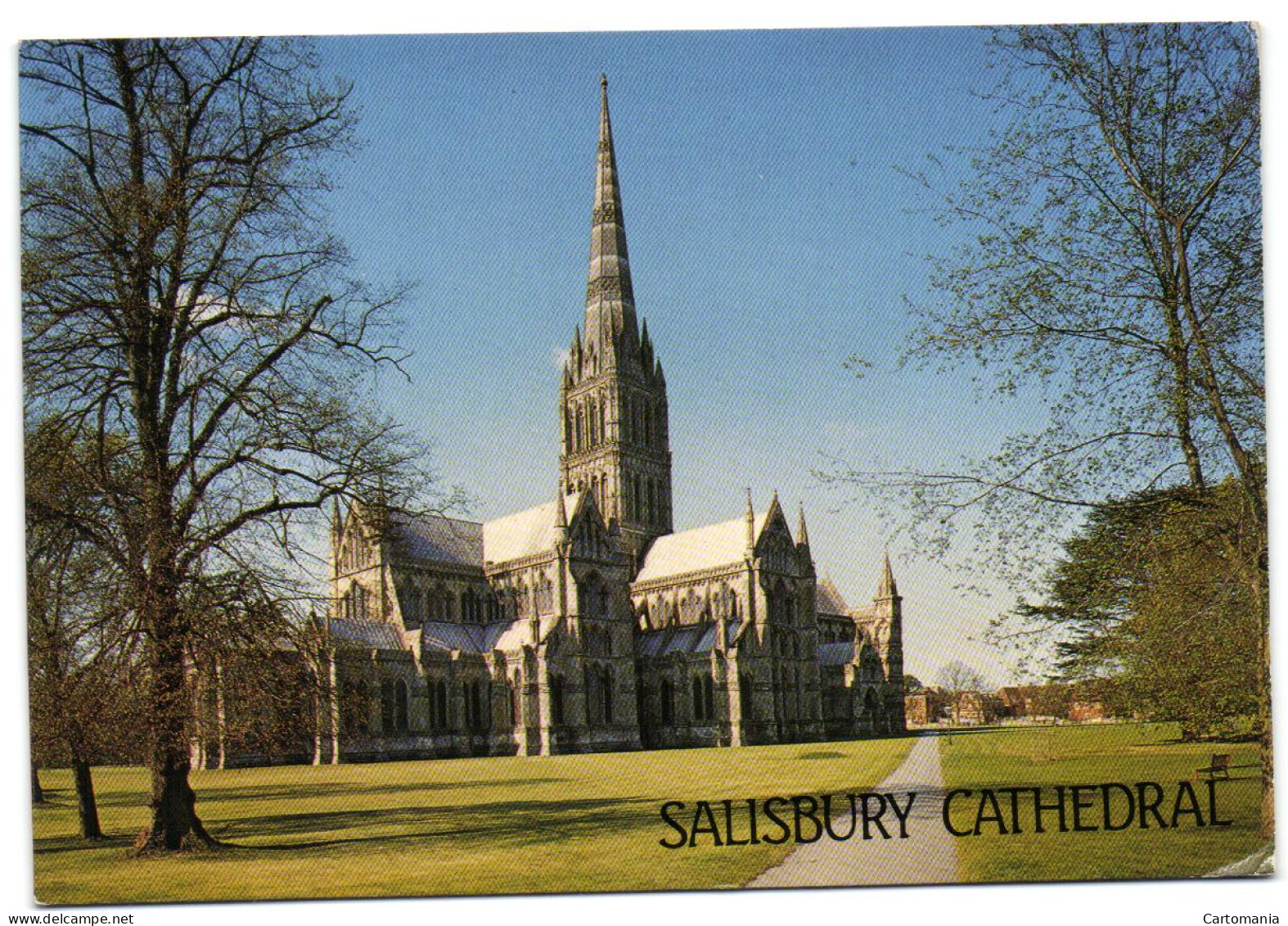 Salisbury Cathedral - Salisbury