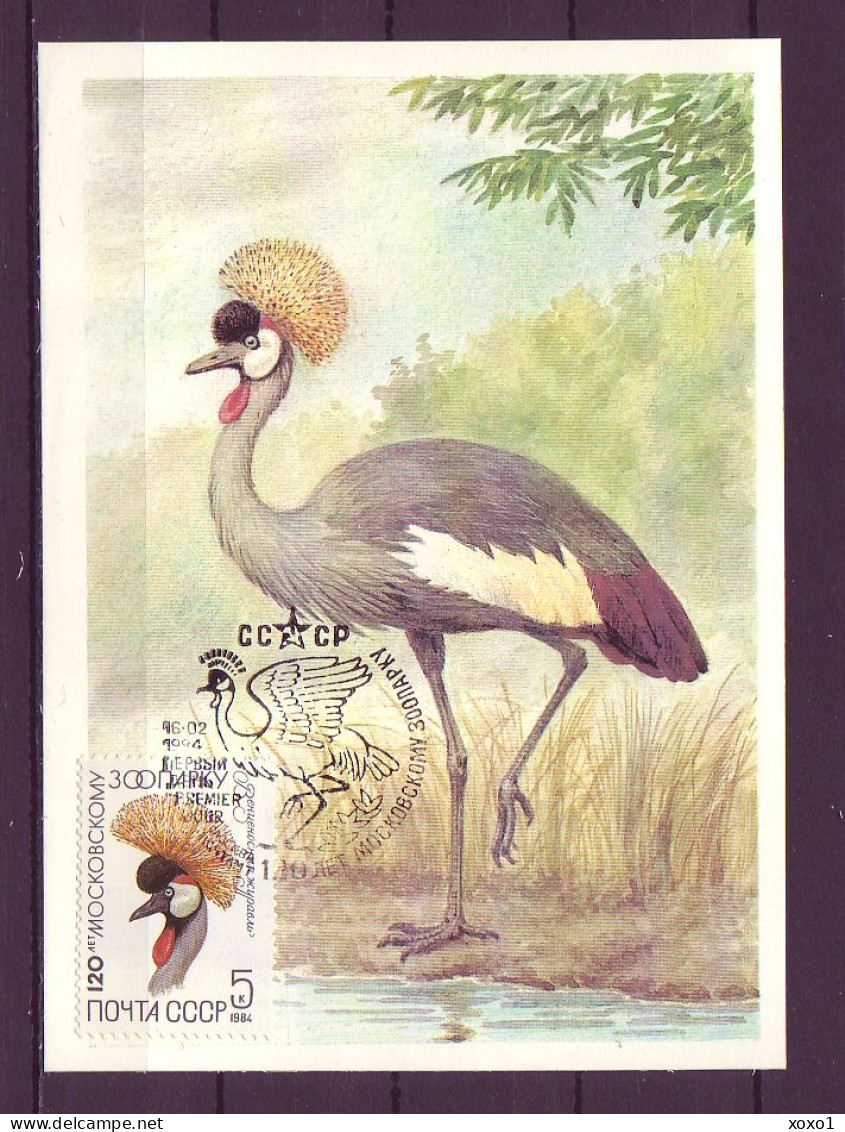 USSR 1984 MiNr. 5359 120 Years Of Moscow Zoo The Grey Crowned Crane  (Balearica Regulorum) 1v MC - Kranichvögel