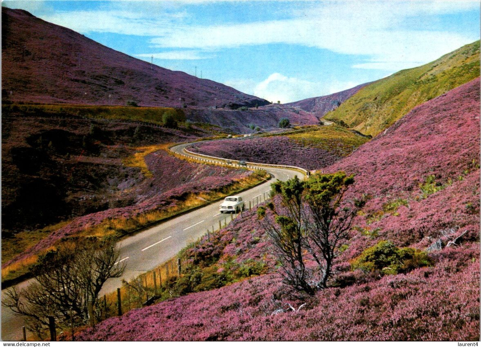 11-10-2023 (4 U 3) UK - Scotland - The Stacks Pass - Inverness-shire