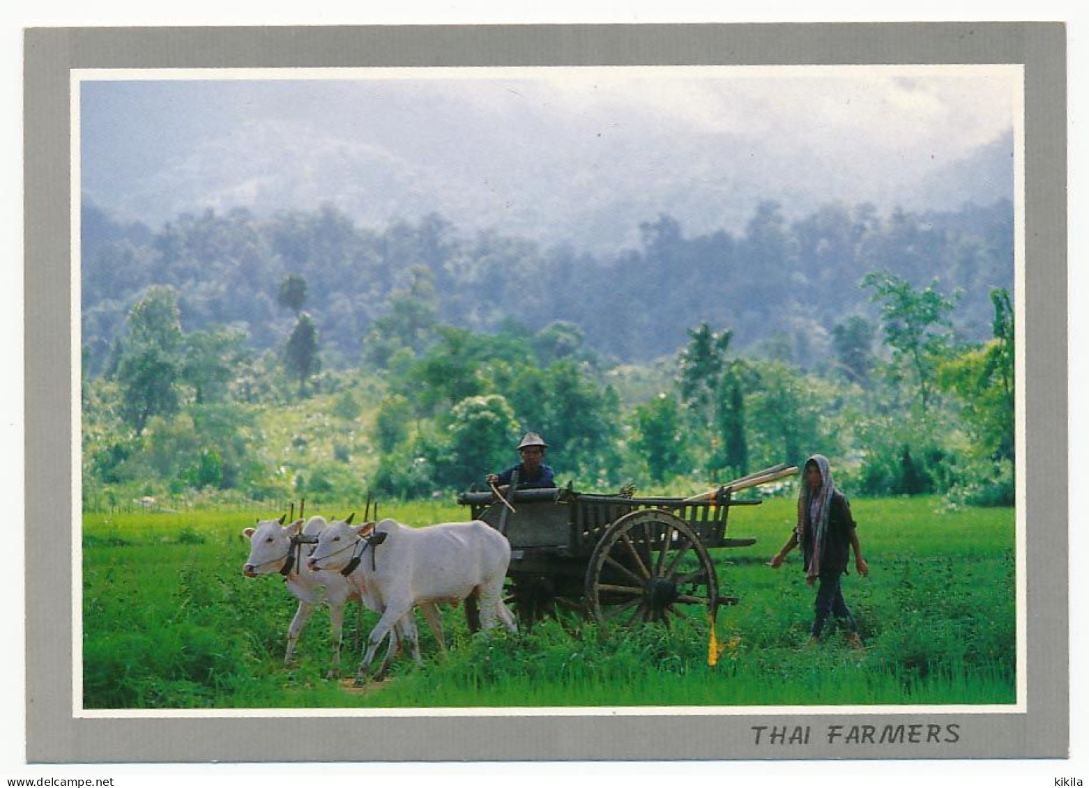 CPSM 10.5 X 15 Thaïlande (54) The Cart For Carrying Things Is Using In The Northern Part Of Thailand* - Thaïlande