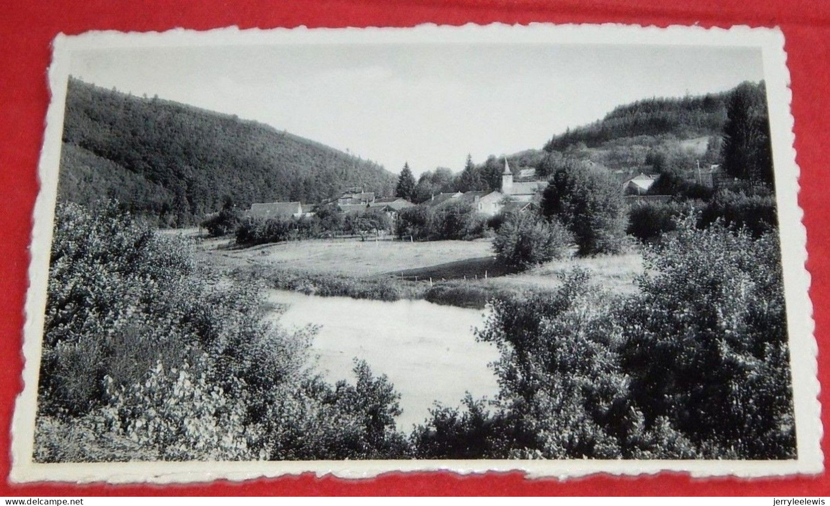 MOUZAIVE SUR SEMOIS -  Panorama - Vresse-sur-Semois