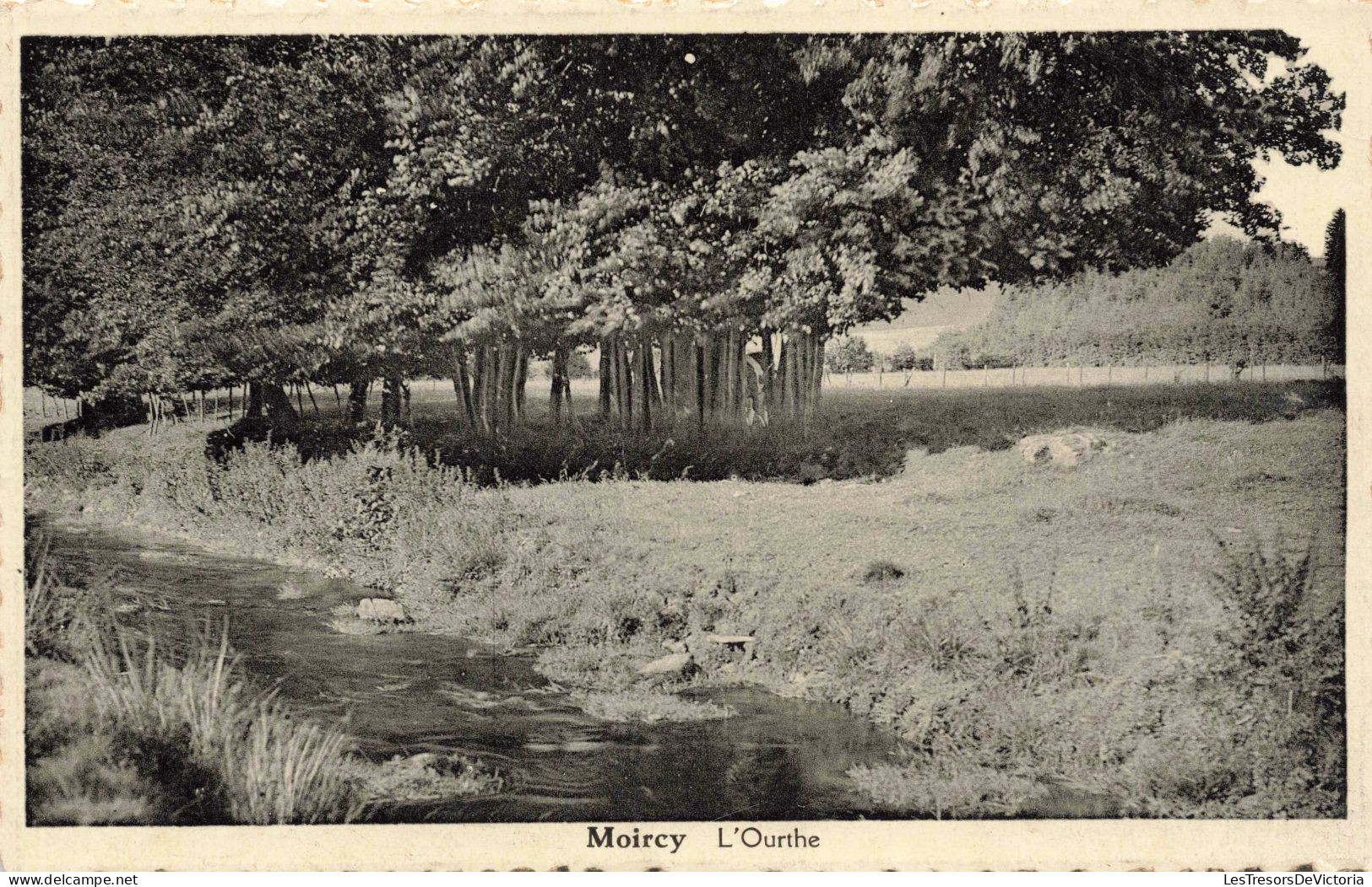 BELGIQUE - Moircy - L'Ourthe - Carte Postale Ancienne - Autres & Non Classés