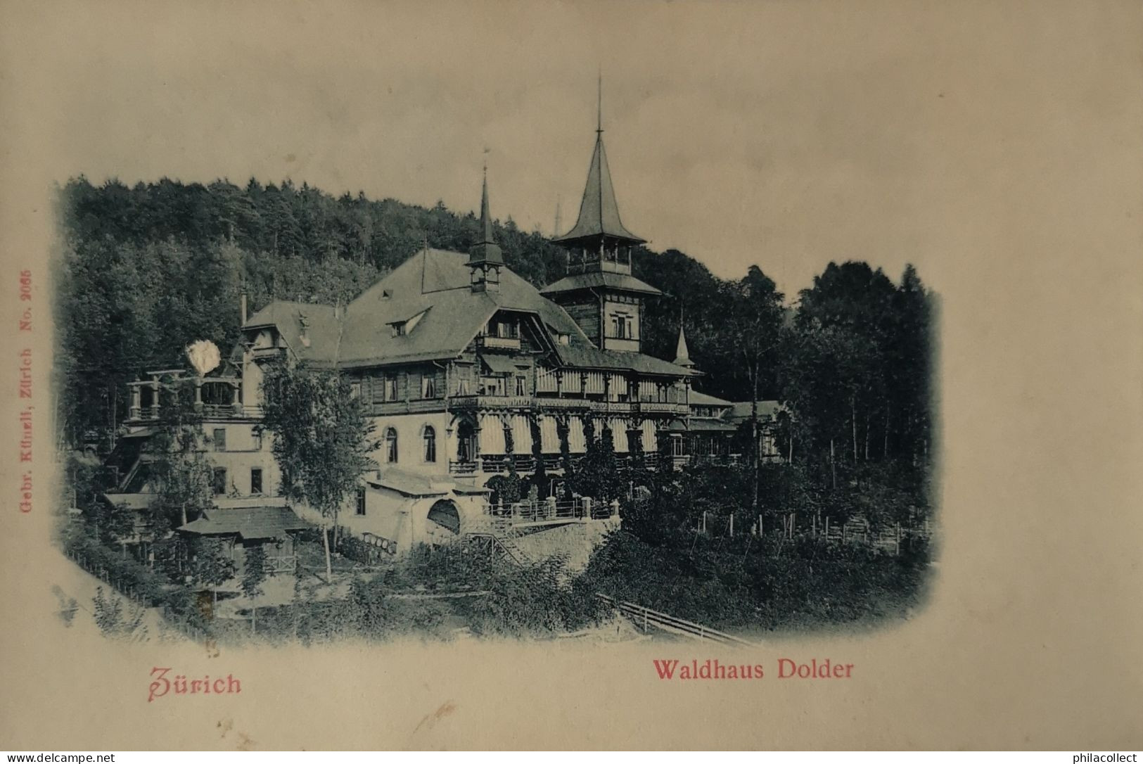 Suisse (ZH) Zürich // Waldhaus Dolder Ca 1900 - Wald