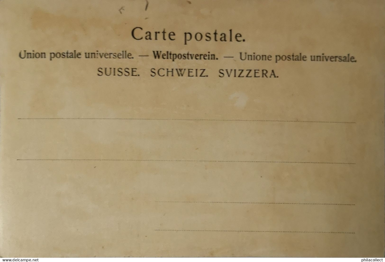 Suisse (ZH) Zürich // Waldhaus Dolder Ca 1900 - Wald