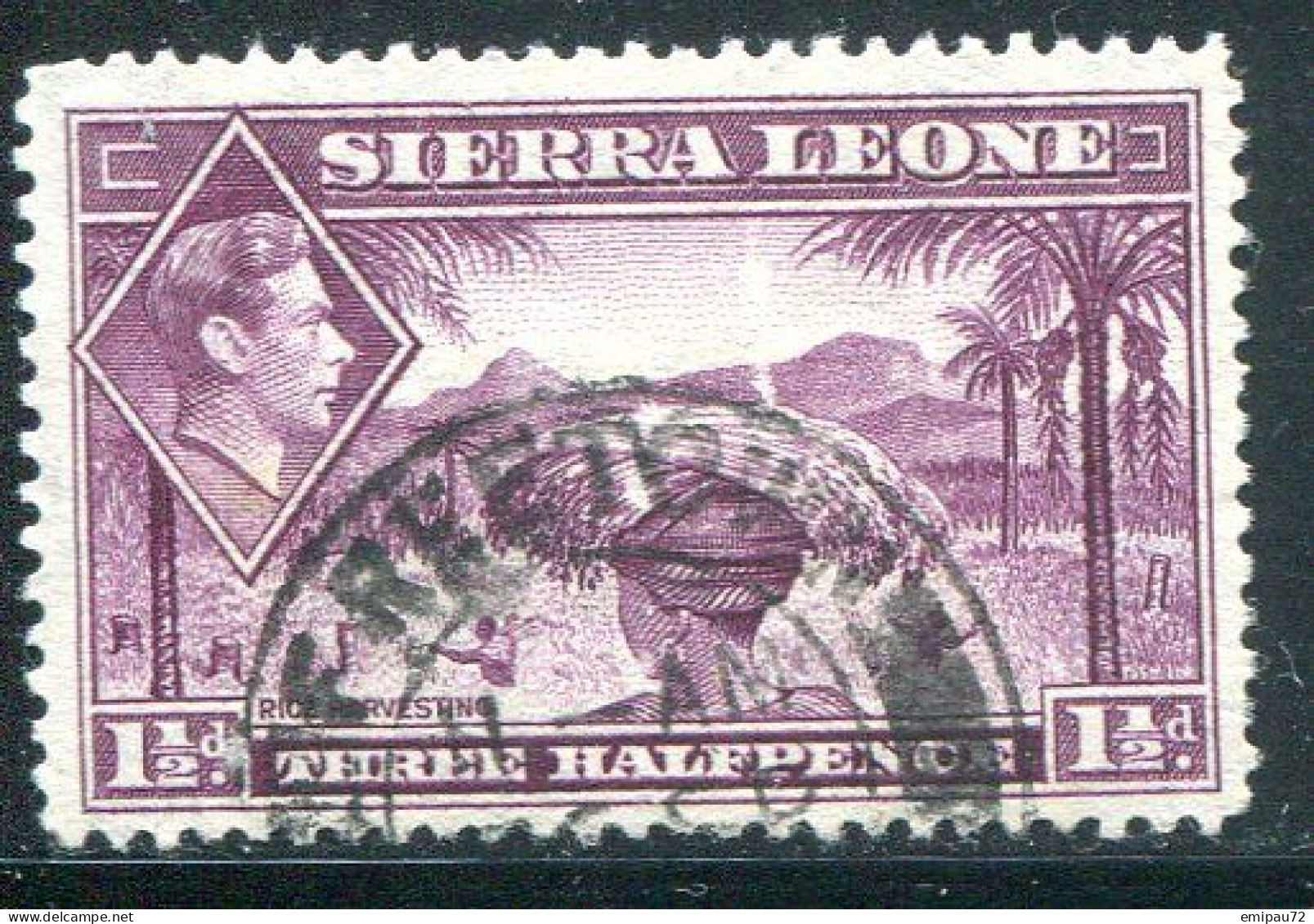 SIERRA LEONE- Y&T N°160A- Oblitéré - Sierra Leone (...-1960)