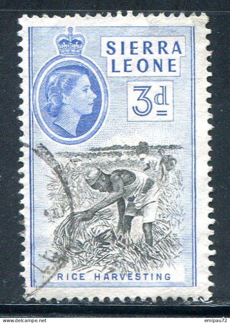 SIERRA LEONE- Y&T N°185- Oblitéré - Sierra Leone (...-1960)