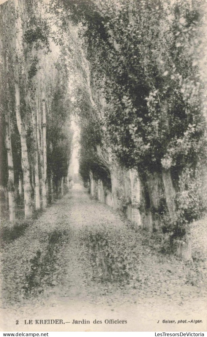 ALGÉRIE - Le Kreider - Jardin Des Officiers - Carte Postale Ancienne - Oran