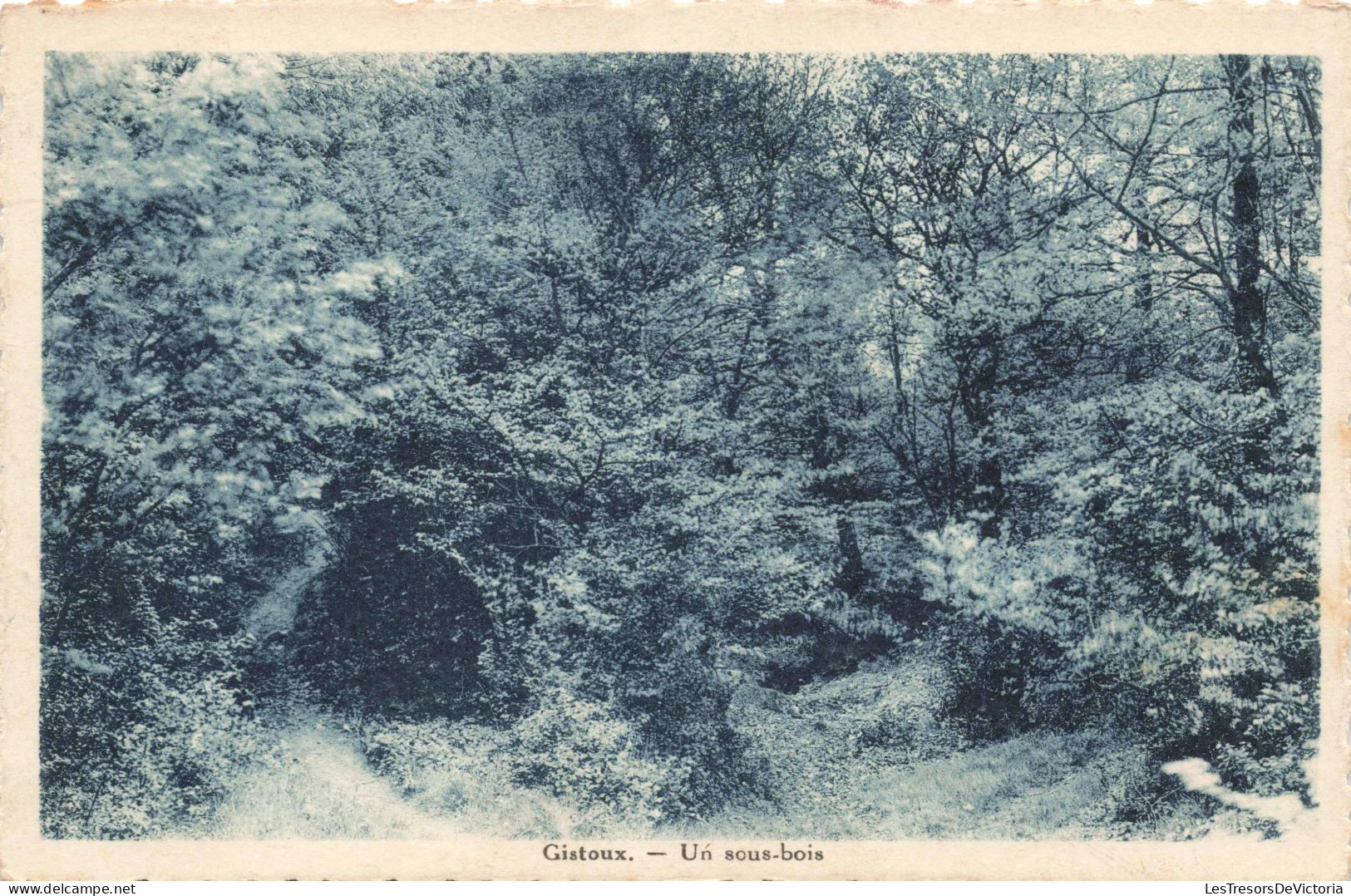 BELGIQUE - Chaumont Gistoux - Un Sous Bois - Carte Postale Ancienne - Chaumont-Gistoux