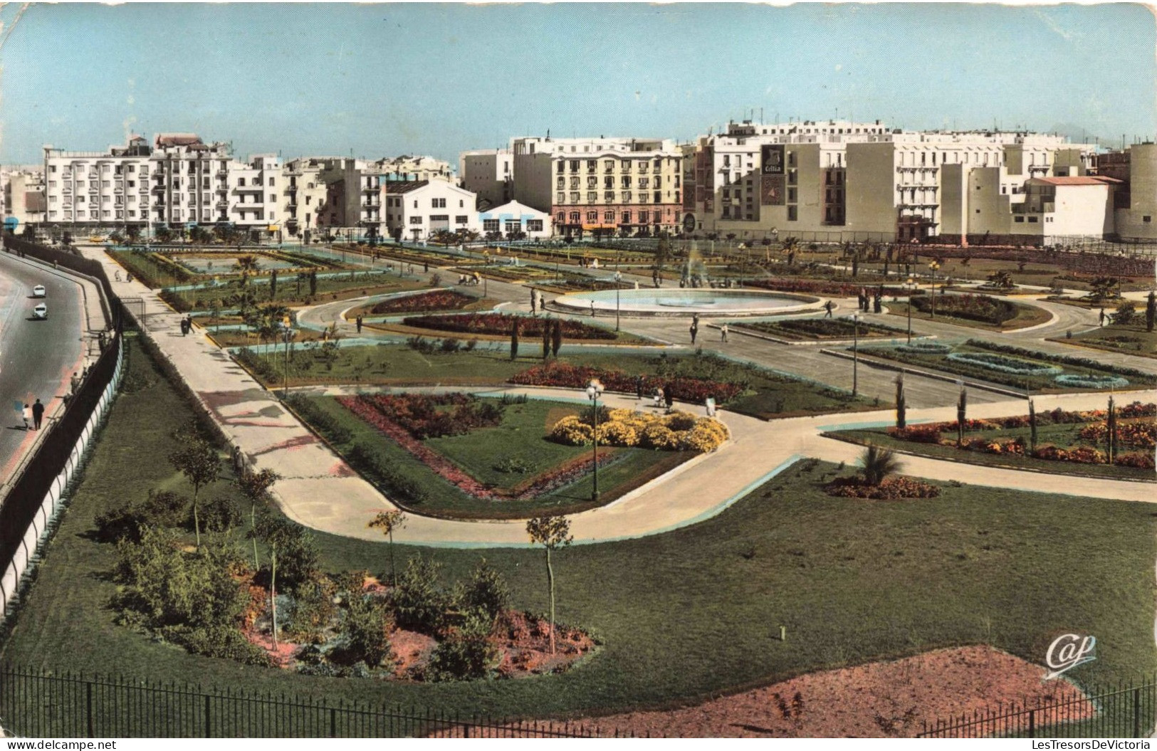 TUNISIE - Jardins Habib Thameur - Colorisé - Carte Postale - Tunisie